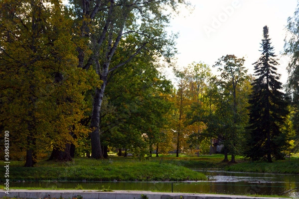 Obraz park in autumn