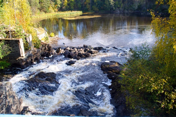 Obraz waterfall in autumn forest