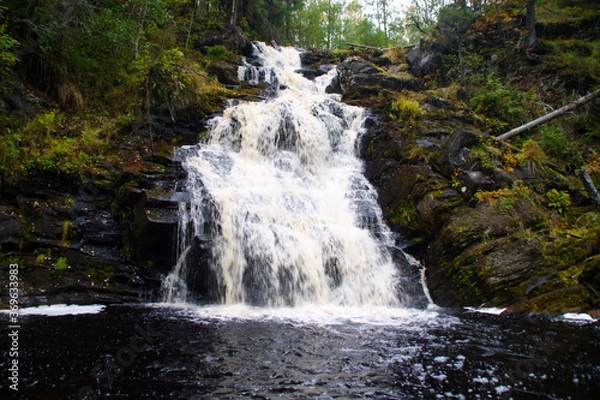 Obraz waterfall in the forest