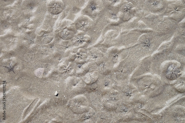 Fototapeta Natural textured surface of wet sand at a beach