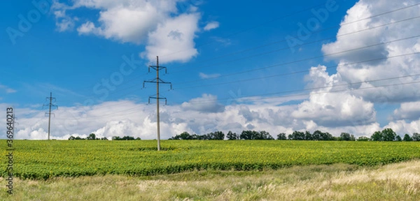 Obraz Beautiful summer landscape with fields of sunflowers and electricity