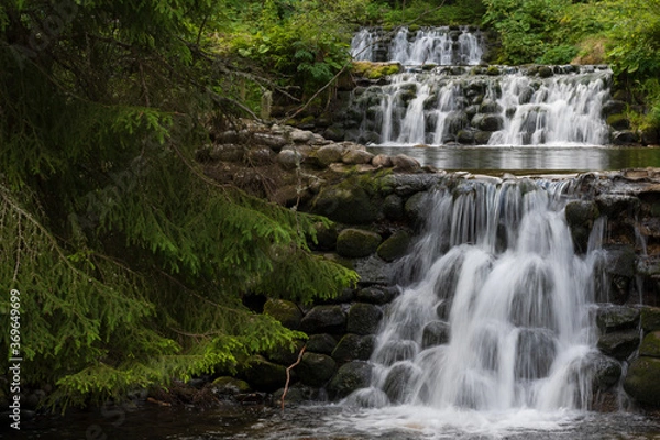 Obraz Waterfall in the forest