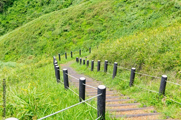 Obraz 静岡県賀茂郡南伊豆町　ユウスゲ公園