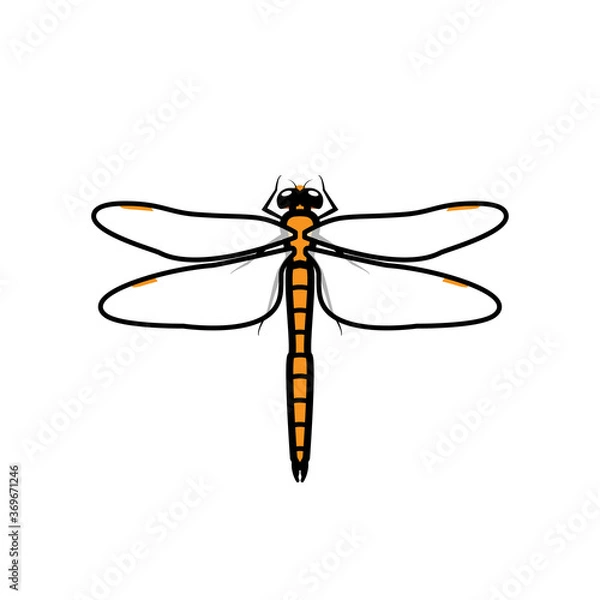 Obraz Dragonfly logo symbol icon sign, orange color. An illustration of a dragonfly, isolated, orange colored, with simple transparent wings, outlined.