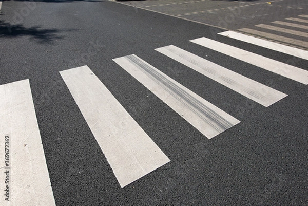 Fototapeta New painted crosswalk on black asphalt with nobody around.