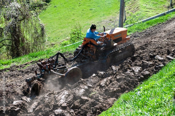 Obraz TRATTORE AGRICOLO CINGOLATO