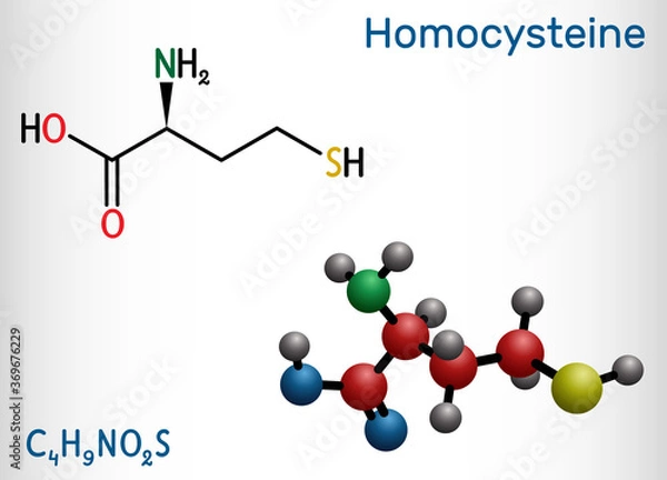 Fototapeta Homocysteine biomarker molecule. It is a sulfur-containing non-proteinogenic amino acid. Structural chemical formula and molecule model