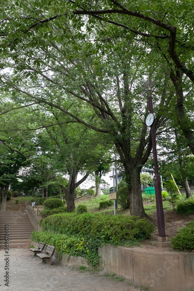 Fototapeta 青葉台第二公園（横浜市青葉区）