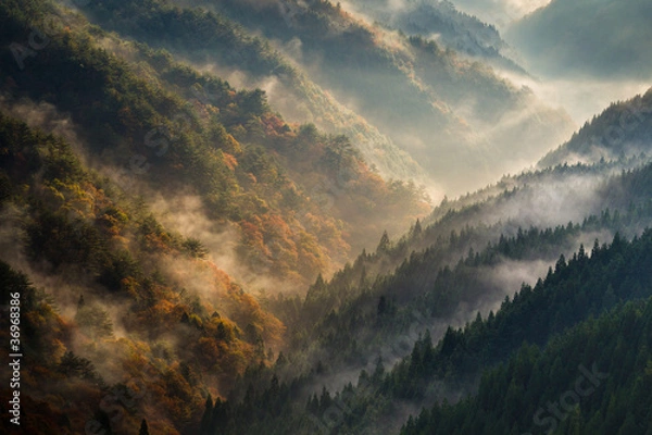 Obraz 野迫川村の雲海