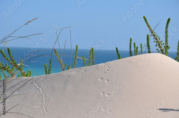 Obraz Kleines Stück Natur