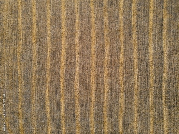 Fototapeta yellow lines on a dark background