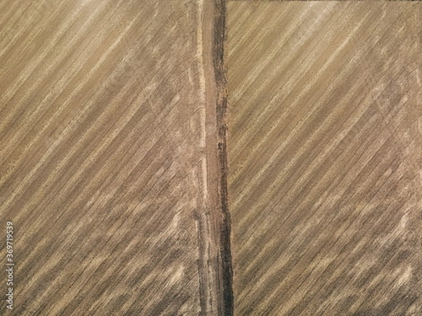 Fototapeta .field texture top view from drone