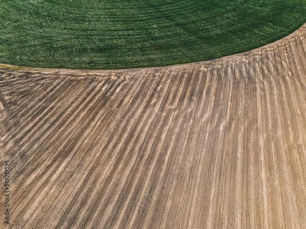 Fototapeta .field texture top view from drone
