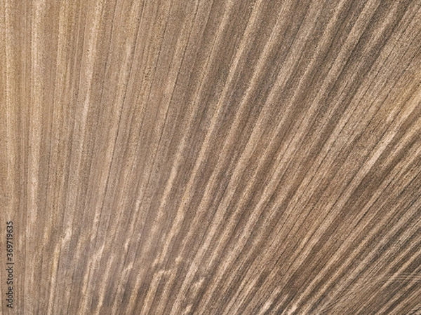 Fototapeta .field texture top view from drone