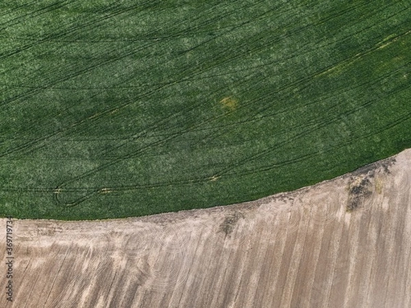 Fototapeta .field texture top view from drone