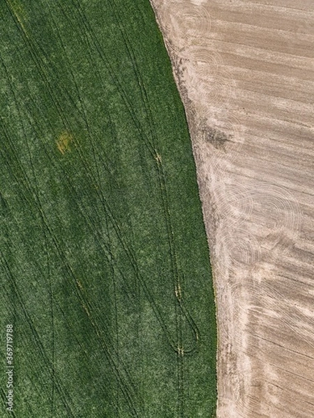 Fototapeta .field texture top view from drone