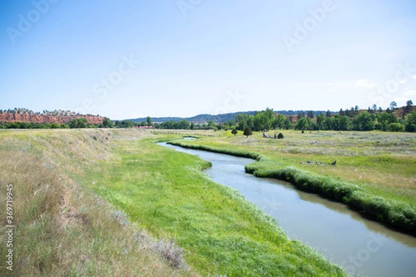 Obraz Prairie Dog Town