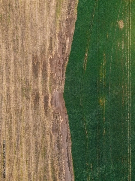Fototapeta .field texture top view from drone
