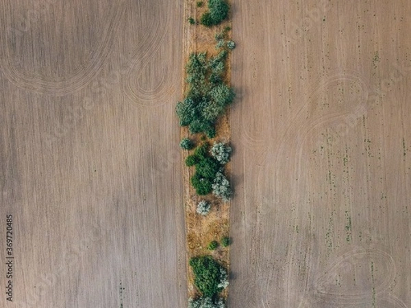 Fototapeta .texture of fields and trees top view