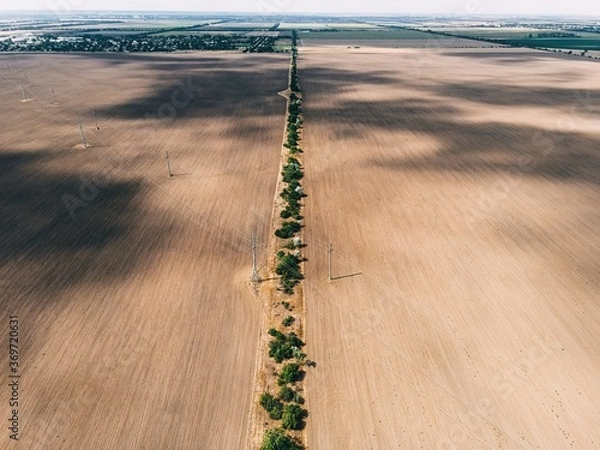 Obraz .texture of fields and trees top view