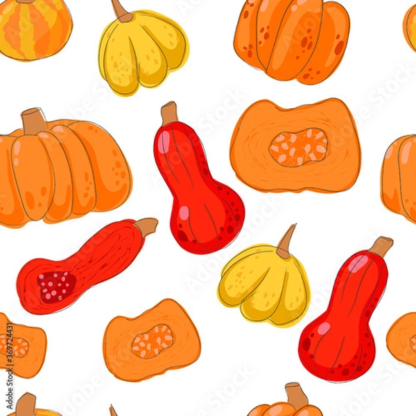 Fototapeta Seamless background with a pattern of different pumpkins or gourds.