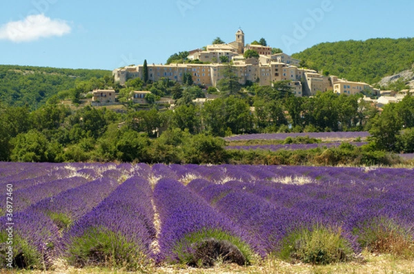 Obraz Lavandes à Banon