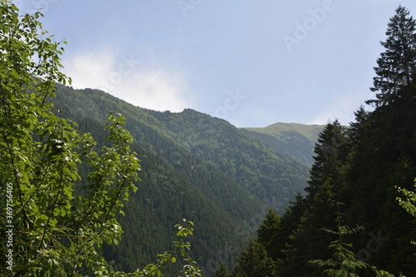 Obraz Mountain view from the forest.