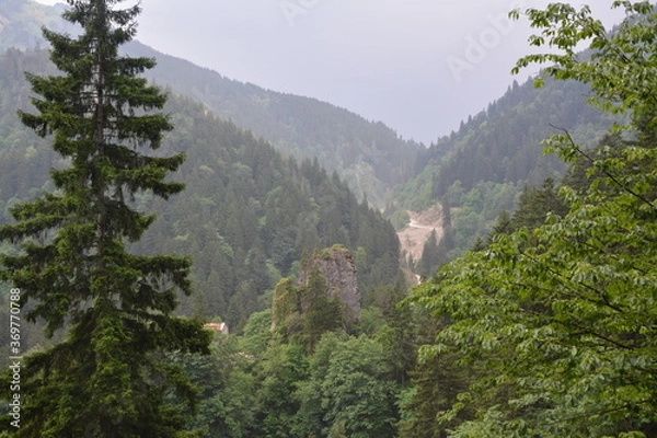 Obraz mountain landscape with fog