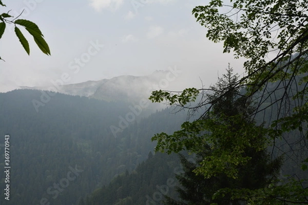 Obraz mountain landscape with fog