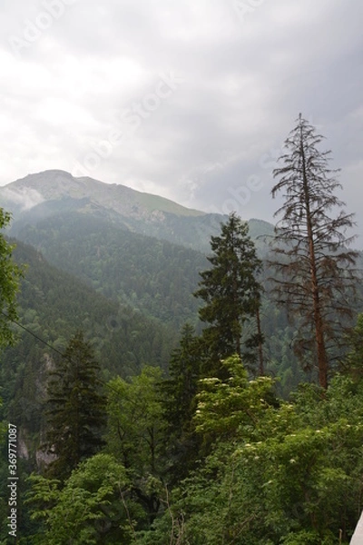 Obraz mountain landscape with fog