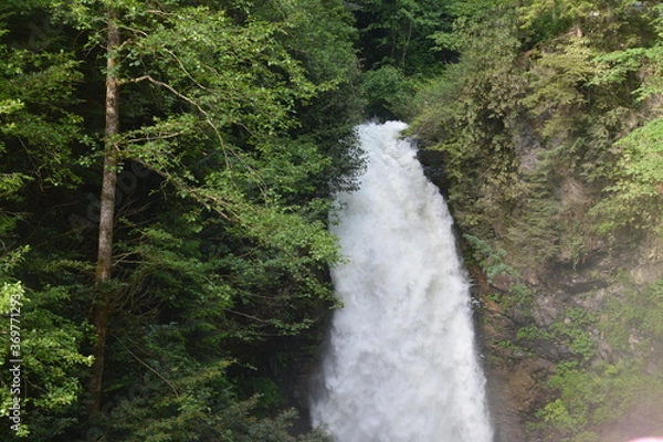 Obraz Waterfall in forest.