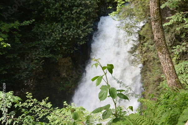Obraz Waterfall in forest.
