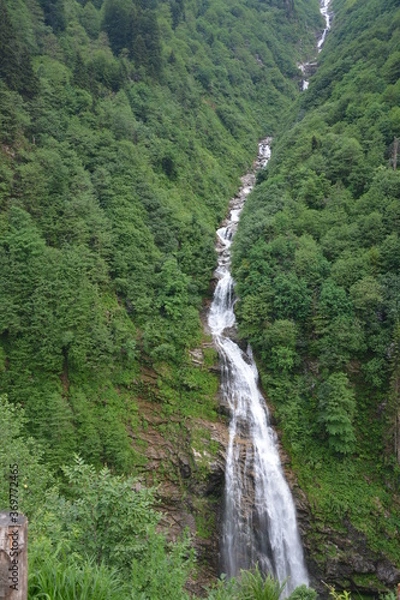 Obraz Waterfall in forest.