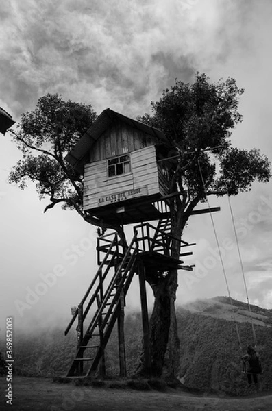 Fototapeta Treehouse with swing