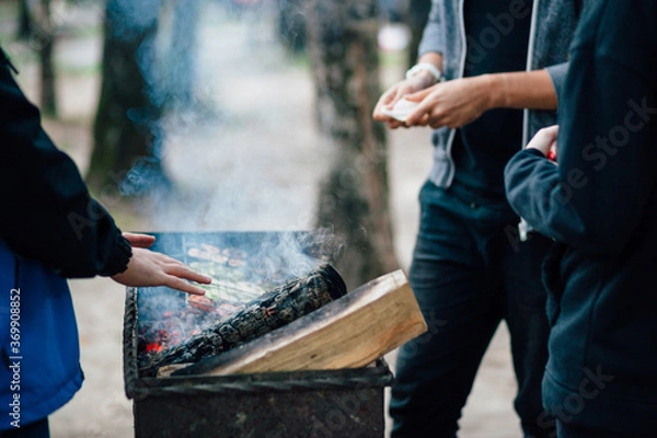 Fototapeta Bonfire before roasting meat
