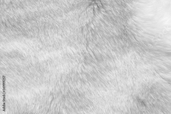 Fototapeta White fur fabric texture background