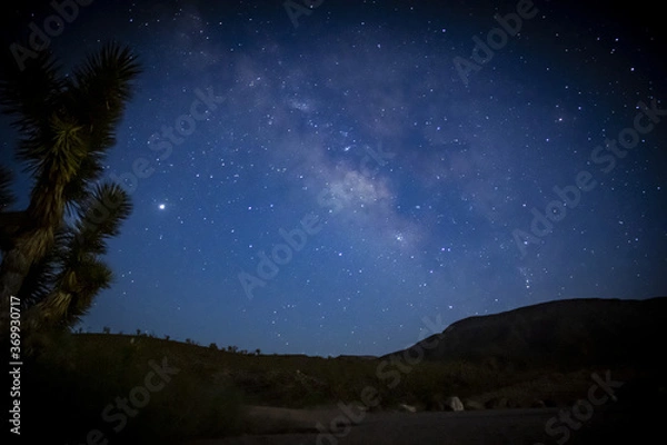 Obraz starry night sky