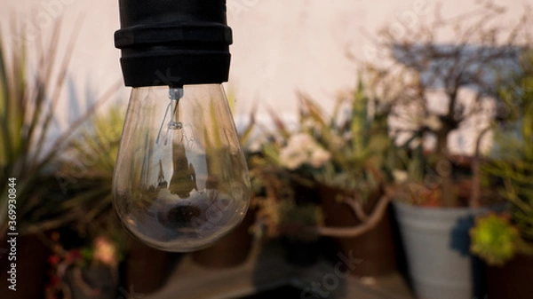 Obraz Ampoule en verre et plantes