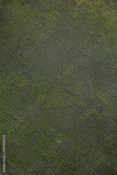 Obraz Green floor texture background.