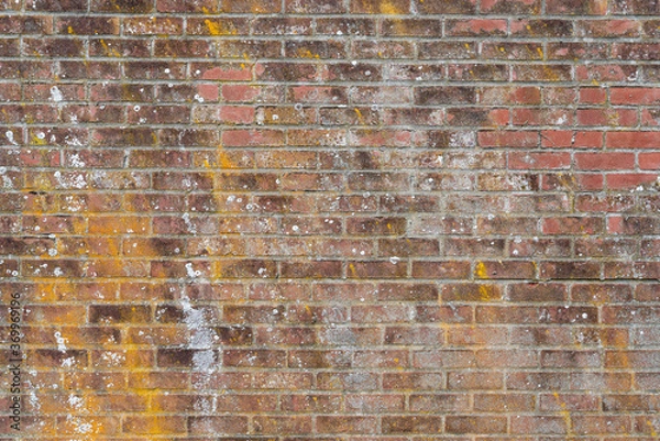 Fototapeta old brick wall background