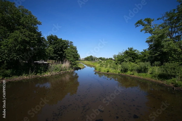 Fototapeta Staten Island Bluebelt