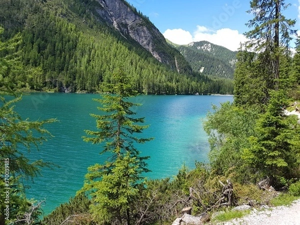 Obraz lake in the mountains