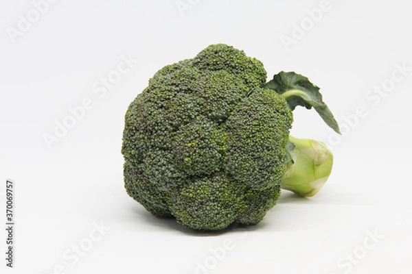 Obraz broccoli isolate on white background