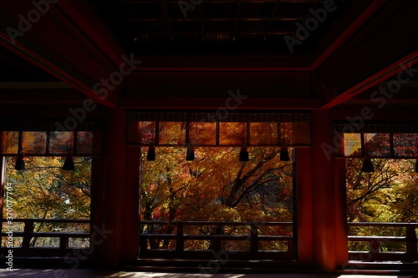 Obraz 京都の紅葉