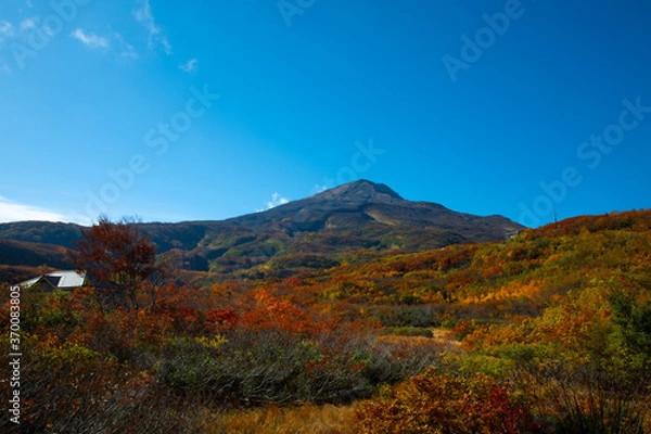 Fototapeta 鳥海山と紅葉と青空