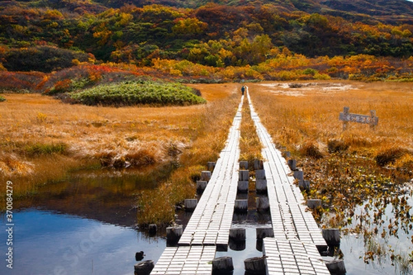 Obraz 紅葉の鳥海山と竜ヶ原湿原遊歩道
