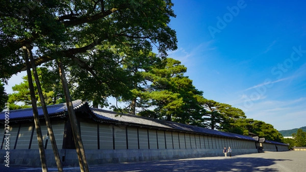Fototapeta 夏の京都御苑の空模様