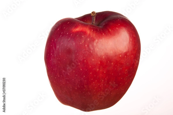 Obraz mela rossa, red apple