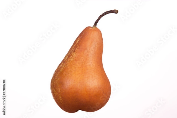 Obraz pera, pear