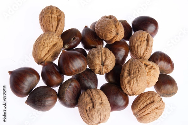 Obraz noci e castagne, mix  walnut chestnut